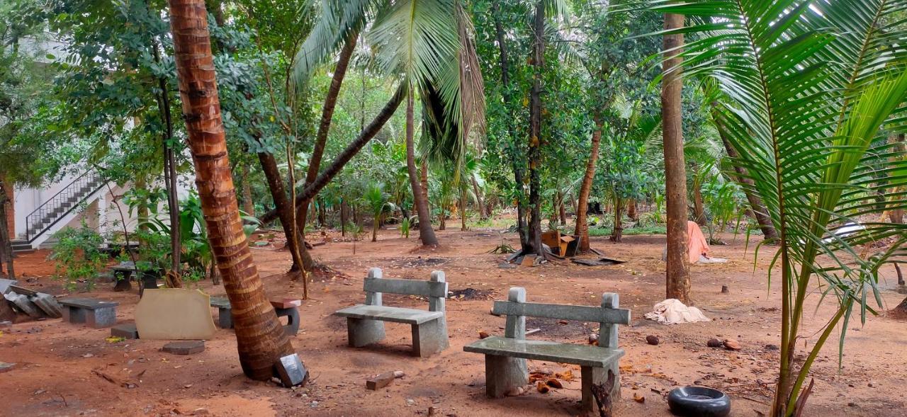 Evergreen Paradise Pondicherry Rum bild