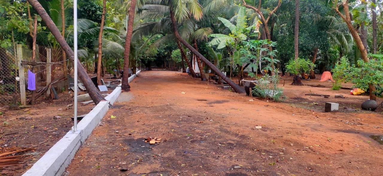 Evergreen Paradise Pondicherry Rum bild